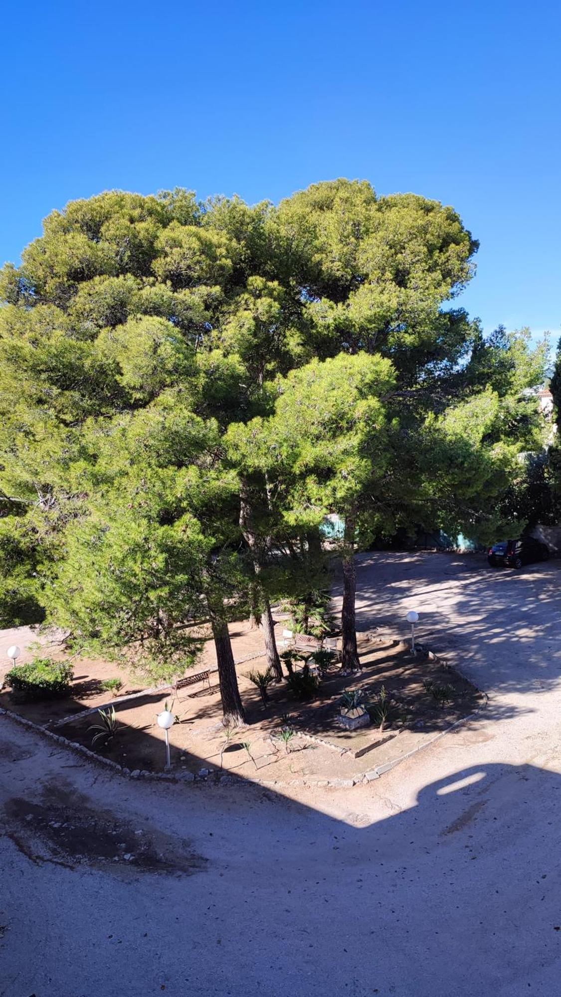 Hotel Restaurant Miramar L'Orchidee La Ciotat Zewnętrze zdjęcie